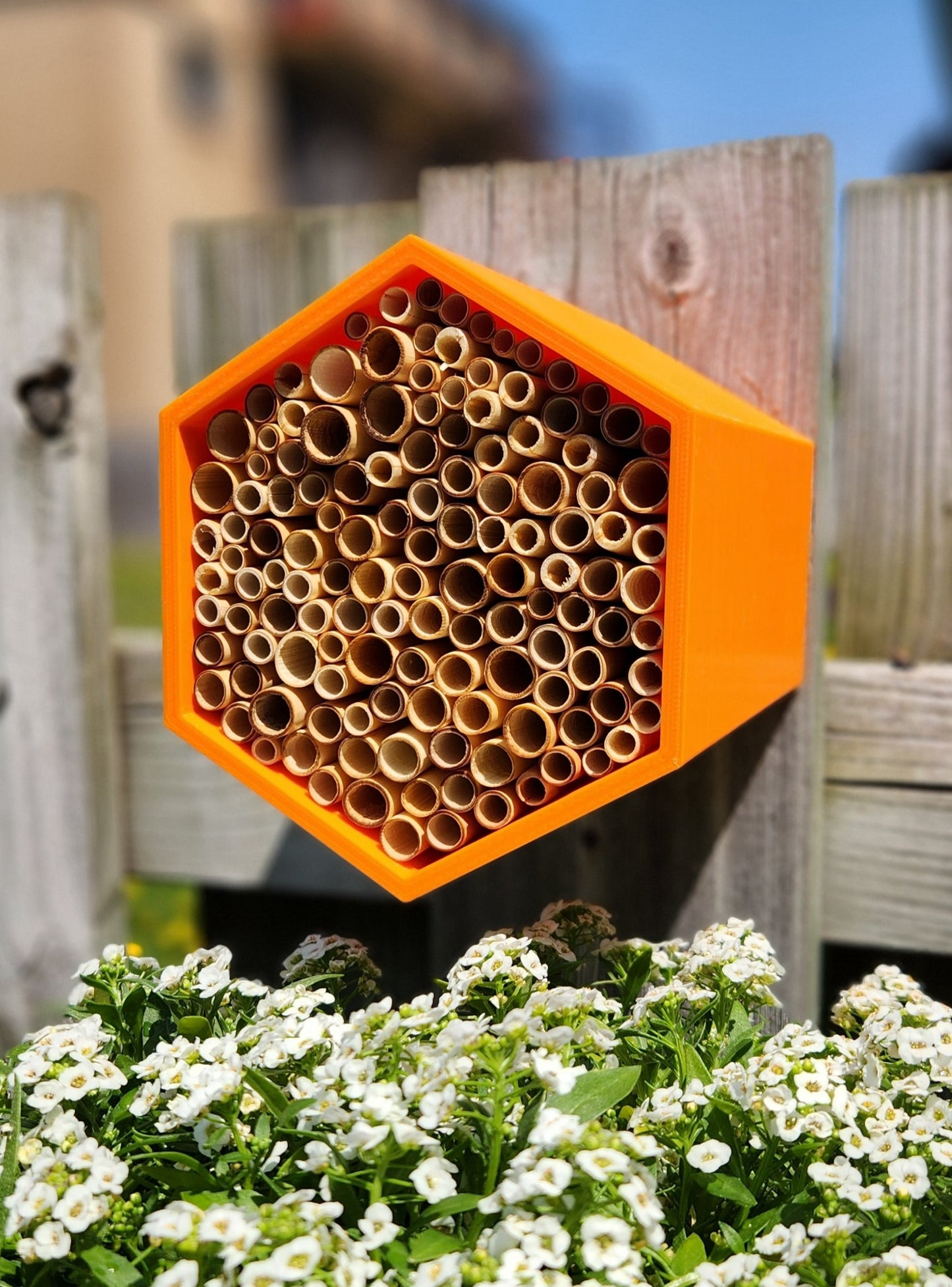 HexaEvo Hive- Eco Friendly Wild Bee Hotel for Gardeners and Pollinator Enthusiasts. Find the Best Bee Hives and Pollinator Houses on HexaEvo Website. Support Pollinator Conservation with Our innovative Hexagonal Design. Enhance Biodiversity with Wild Bee Hives from Hexa Evo