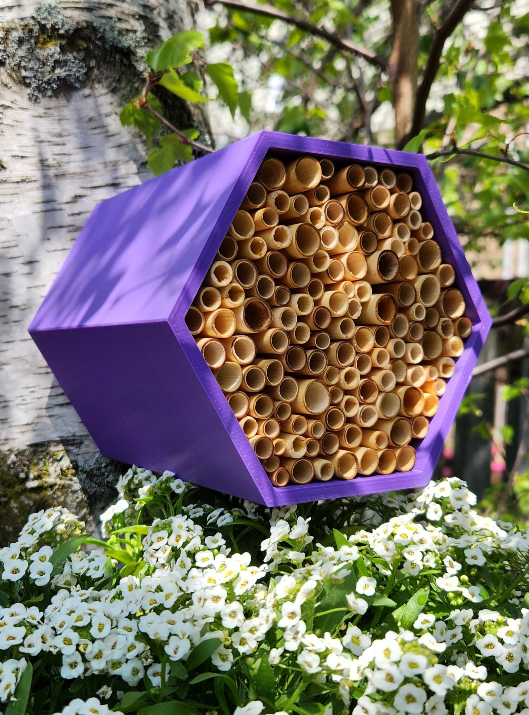 HexaEvo Hives - Premium Wild Bee Hotel & Insect Hotel. Eco-Friendly Hexagonal Design to Attract Wild Bees and Pollinators. Explore Our Hives, Perfect for Gardeners and Biodiversity Enthusiasts. Support Pollinator Conservation with HexaEvo's Top-Rated Bee Hives. find the Best Insect Hotels and Wild Bee Habitats on HexaEvo Website.