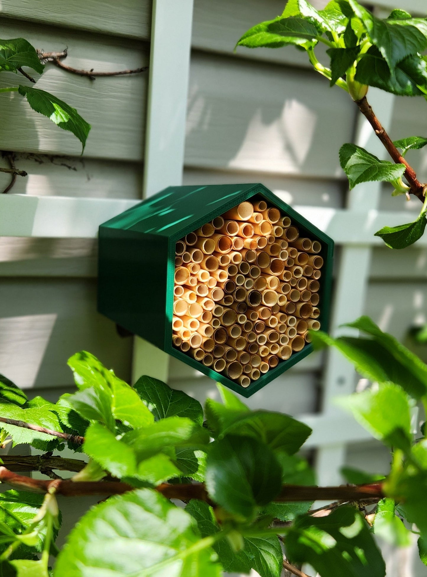 HexaEvo Hives - Premium Wild Bee Hotel & Insect Hotel. Eco-Friendly Hexagonal Design to Attract Wild Bees and Pollinators. Explore Our Hives, Perfect for Gardeners and Biodiversity Enthusiasts. Support Pollinator Conservation with HexaEvo's Top-Rated Bee Hives. find the Best Insect Hotels and Wild Bee Habitats on HexaEvo Website.