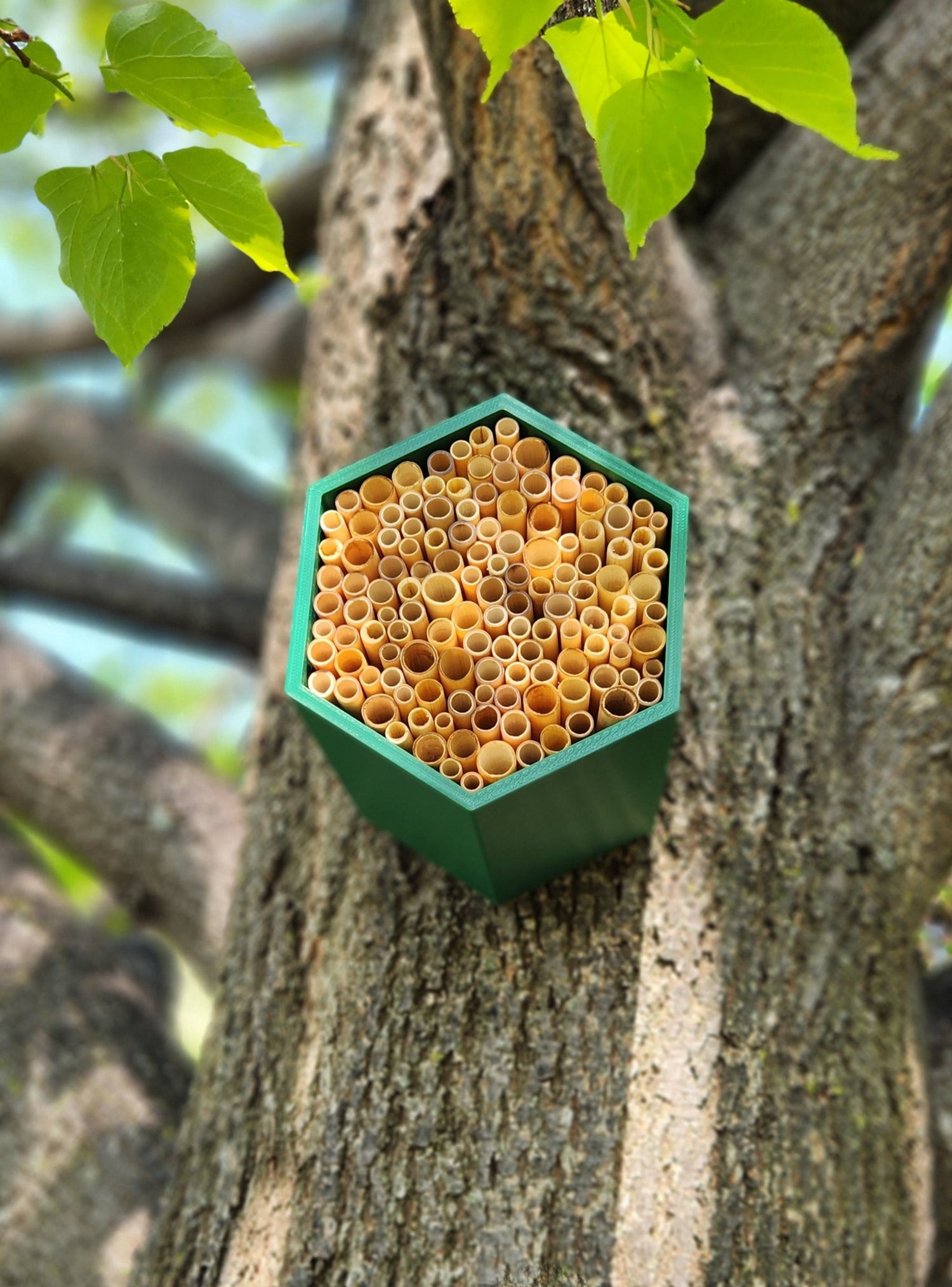 HexaEvo Hive- Eco Friendly Wild Bee Hotel for Gardeners and Pollinator Enthusiasts. Find the Best Bee Hives and Pollinator Houses on HexaEvo Website. Support Pollinator Conservation with Our innovative Hexagonal Design. Enhance Biodiversity with Wild Bee Hives from Hexa Evo