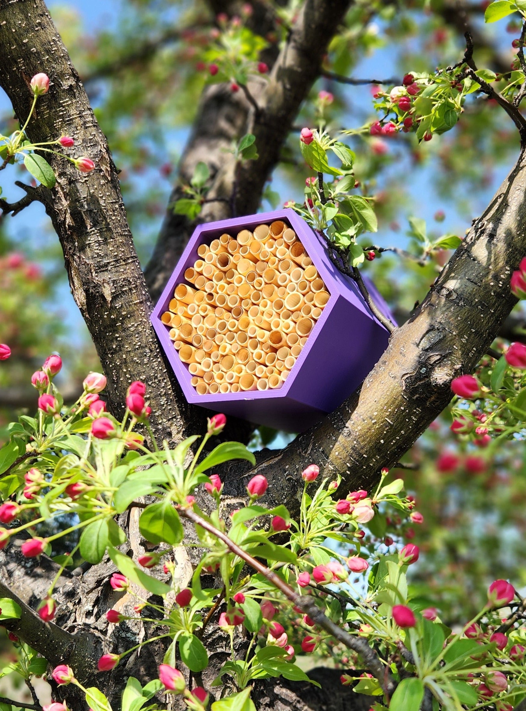 A sustainable Bee Hotel for wild Bees and beneficial Pollinators. Discover our beautiful Wild Bee Hives. Perfect for Gardeners and Bee Enthusiasts. Get the Best Bee Hives and Pollinator Houses with Hexa Evo!