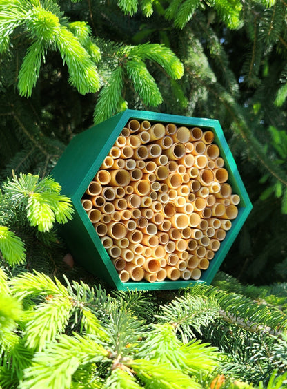 A sustainable Bee Hotel for wild Bees and beneficial Pollinators. Discover our beautiful Wild  Bee Hives. Perfect for Gardeners and Bee Enthusiasts. Get the Best Bee Hives and Pollinator Houses with Hexa Evo!